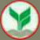 Kasikorn Bank Icon